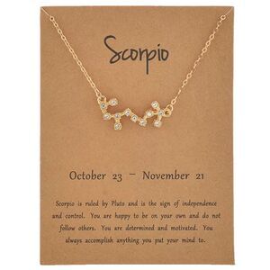 SCORPIO constellation necklace 💫